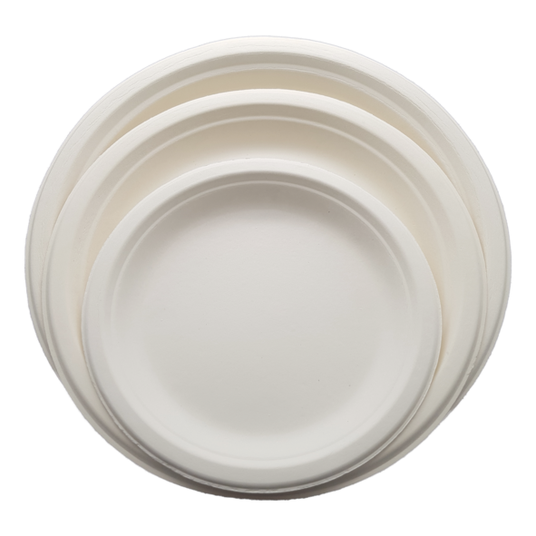 Biodegradable and Compostable Sugarcane Bagasse Plate