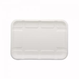Sugarcane Bagasse Textured Trays Sugarcane Bagasse Textured Trays