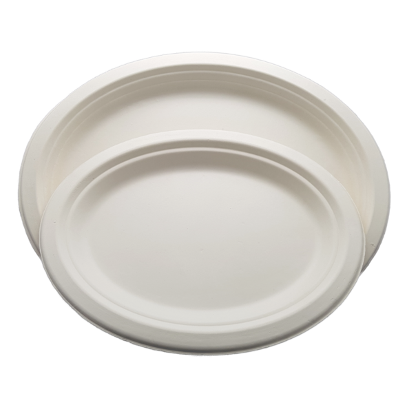 Biodegradable and Compostable Sugarcane Bagasse Plate