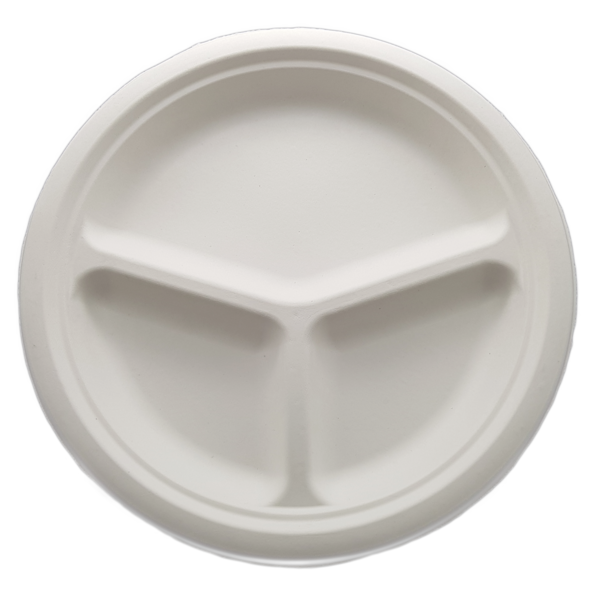 Biodegradable and Compostable Sugarcane Bagasse Plate